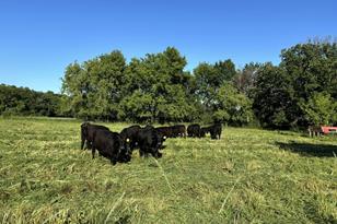 21640 Wilson Rd - Photo 11