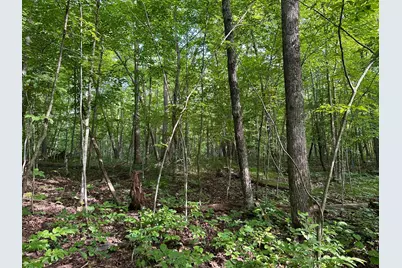 Xxx Wilson Lake Drive, Deerwood, MN 56444 - Photo 23