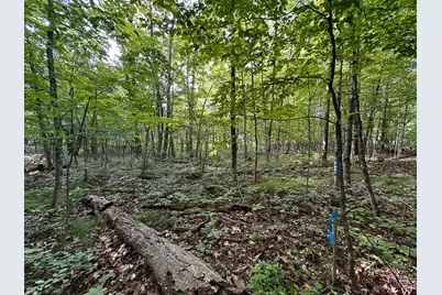 Xxx Wilson Lake Drive, Deerwood, MN 56444 - Photo 17