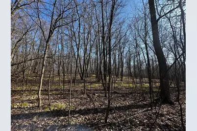 Xxx Wilson Lake Drive, Deerwood, MN 56444 - Photo 5