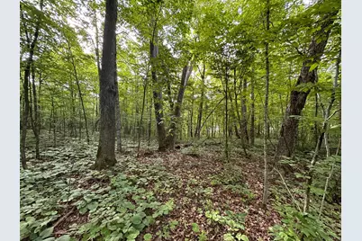 Xxx Wilson Lake Drive, Deerwood, MN 56444 - Photo 19
