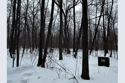 Xxx Wilson Lake Drive, Deerwood, MN 56444 - Photo 3