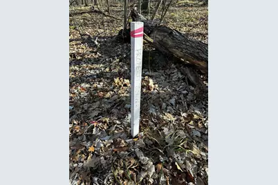 Xxx Wilson Lake Drive, Deerwood, MN 56444 - Photo 19