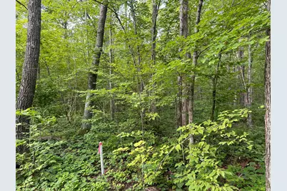 Xxx Wilson Lake Drive, Deerwood, MN 56444 - Photo 15