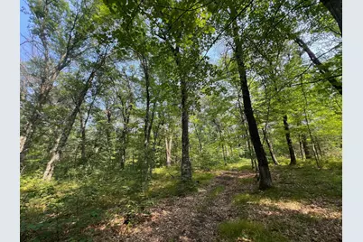 Xxxxx McLain Road, Grantsburg, WI 54840 - Photo 1