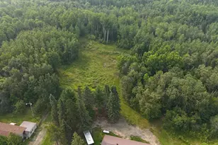 5741 Hwy 53, Ray, MN 56669 - Photo 13