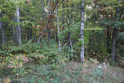 L24 B2 Wb16 Scenic Overlook Drive, Breezy Point, MN 56472 - Photo 5