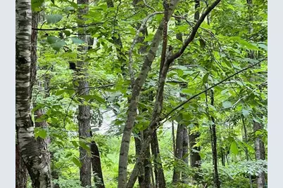 Xxx Chippewa Tr, Exeland, WI 54867 - Photo 5