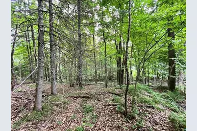 Xxx Chippewa Tr, Exeland, WI 54867 - Photo 3