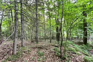 Xxx Chippewa Trail, Exeland, WI 54867 - Photo 3