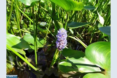 6701 Koski Road, Tower, MN 55790 - Photo 13