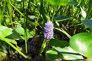 6701 Koski Rd, Tower, MN 55790 - Photo 13