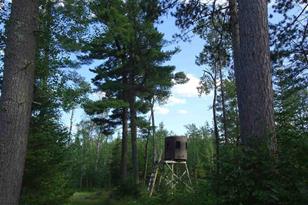 6701 Koski Rd, Tower, MN 55790 - Photo 15