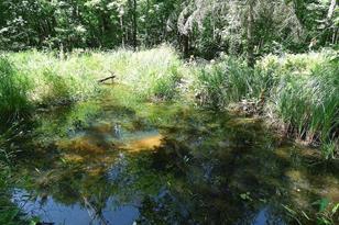 22519 Co Rd 3, Lake Edward Twp, MN 56465 - Photo 11