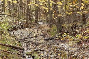 22519 Co Rd 3, Lake Edward Twp, MN 56465 - Photo 19