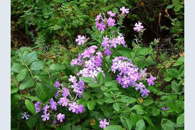 22519 County Road 3, Lake Edward Twp, MN 56465 - Photo 21