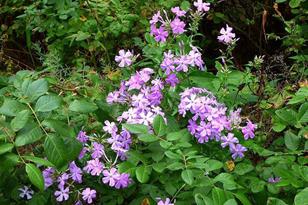 22519 Co Rd 3, Lake Edward Twp, MN 56465 - Photo 21