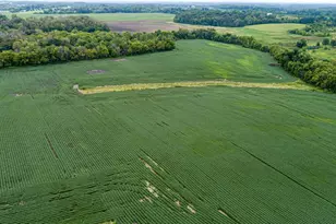 4081 Dassel Ave, Webster, MN 55088 - Photo 11