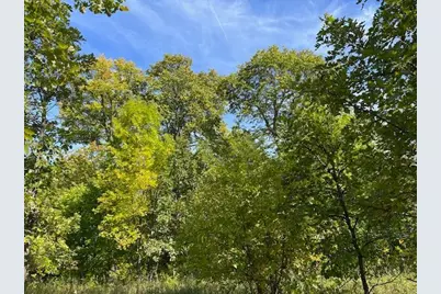 Xxxx Woodsmen Lane SW, Alexandria, MN 56308 - Photo 7