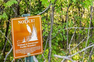 7817 146th Terrace, Savage, MN 55378 - Photo 13