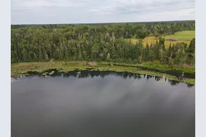 Lot D Tbd County Road 51, Bovey, MN 55709 - Photo 3