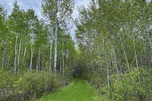 11000 Cr64, Mizpah, MN 56660 - Photo 1