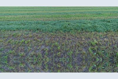 210 Highlands Blvd NE, Melrose, MN 56352 - Photo 9