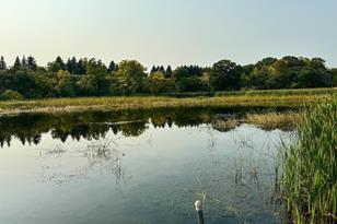 17786 Silver Ridge Rd, Fergus Falls, MN 56537 - Photo 41