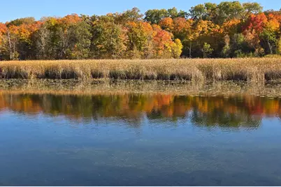 Tract A Blybergs Lane, Pelican Rapids, MN 56572 - Photo 7