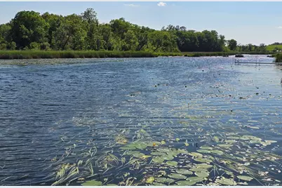 Tract G Blybergs Lane, Pelican Rapids, MN 56572 - Photo 45