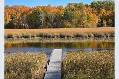 Tract I Blybergs Lane, Pelican Rapids, MN 56572 - Photo 7