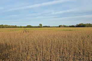 Xxx E Olive St, Ogilvie, MN 56358 - Photo 1