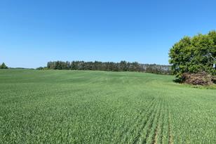 253X Pioneer Trail, Medina, MN 55340 - Photo 25