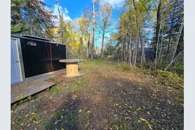 Tract 8 Brush Island, Angle Inlet, MN 56711 - Photo 11