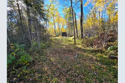Tract 8 Brush Island, Angle Inlet, MN 56711 - Photo 5