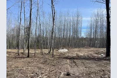 Tbd Lot 6 New Paradise Point Drive, Lake George Township, MN 56458 - Photo 5