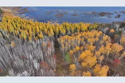 Tbd County 4 - Lot 9, Lake George Township, MN 56458 - Photo 3