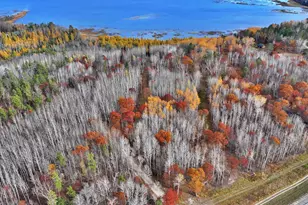 Tbd County 4 - Lot 10, Lake George Township, MN 56458 - Photo 1