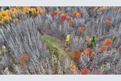 Tbd County 4 - Lot 10, Lake George Township, MN 56458 - Photo 11