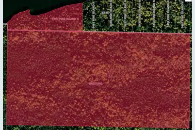 5497 Pine Island N, Tower, MN 55790 - Photo 31