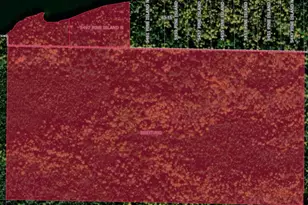 5497 Pine Island N, Tower, MN 55790 - Photo 31