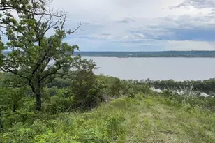 Xxx 10 Acres Just Off Twin Bluff Ln S, Stockholm, WI 54769 - Photo 1