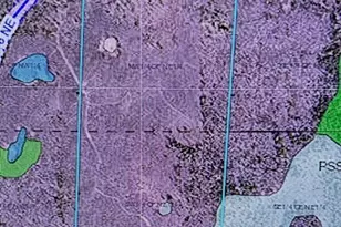 13598 County 8 NE, Federal Dam, MN 56626 - Photo 1