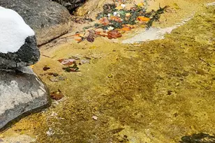 0 Lake Vermilion Private Island and Mainland Boathou, Cook, MN 55732 - Photo 29