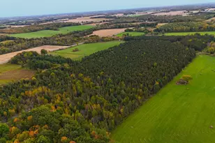 1350 Co Rd D Lot 4, Emerald, WI 54013 - Photo 11