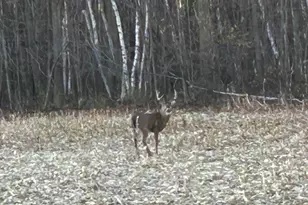 1350 Co Rd D Lot 4, Emerald Township, WI 54013 - Photo 15