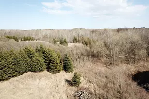 61684 E 260th St, Hewitt, MN 56453 - Photo 31