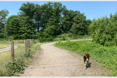 1824 Rainier Drive, Shakopee, MN 55379 - Photo 57