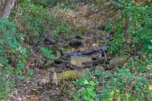 679 Marie Ave W, Mendota Heights, MN 55118 - Photo 5