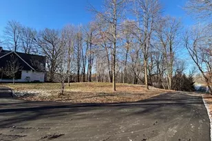 11233 Chisago Blvd, Chisago City, MN 55013 - Photo 43